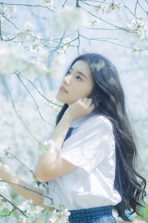 拜见公子